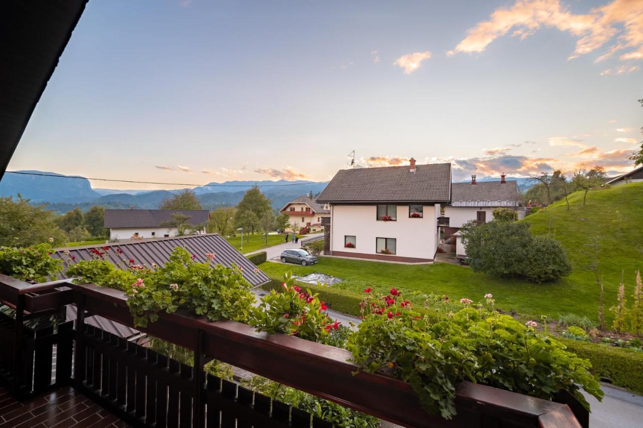 Apartma Vester Apartment *