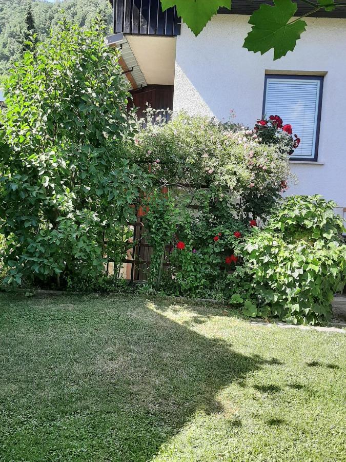 Apartment Apartma Vester *