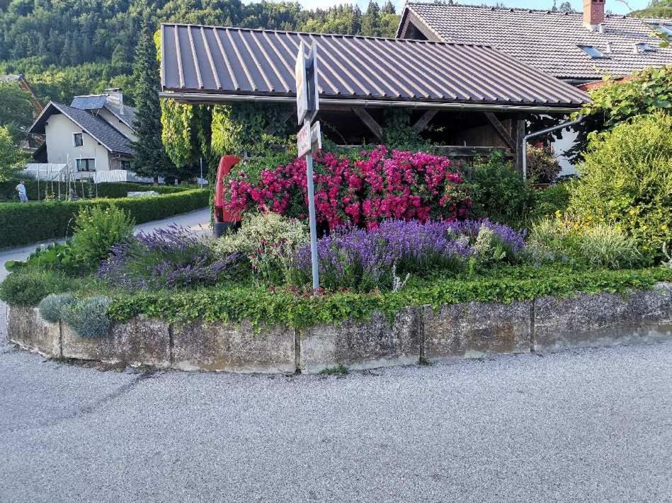 Apartma Vester *